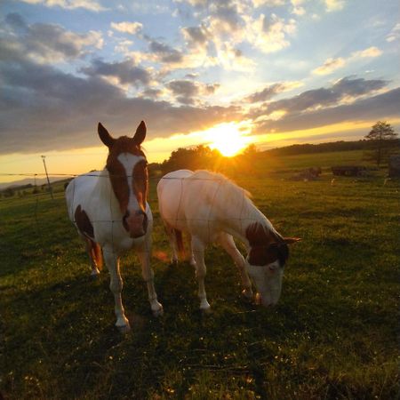 Ubytování Na statku Stara Cervena Voda Exteriér fotografie